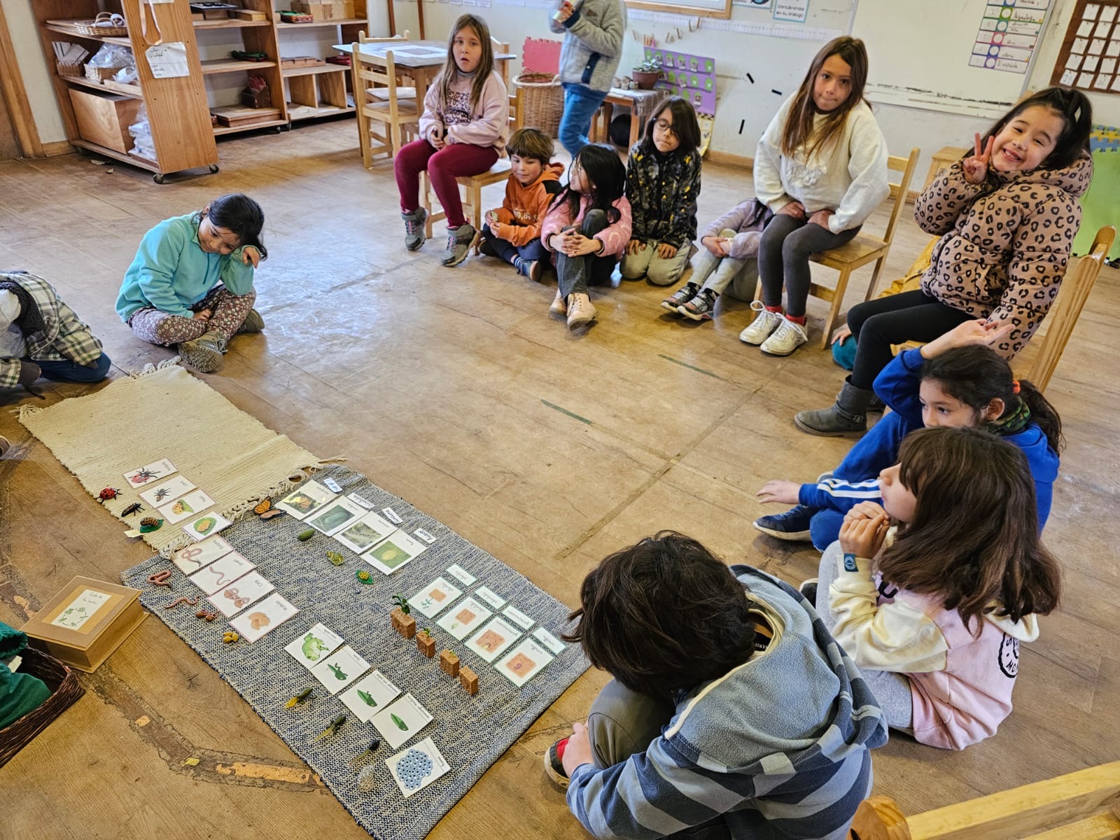 67a93893-f04b-4789-ad55-4066f6396d5f