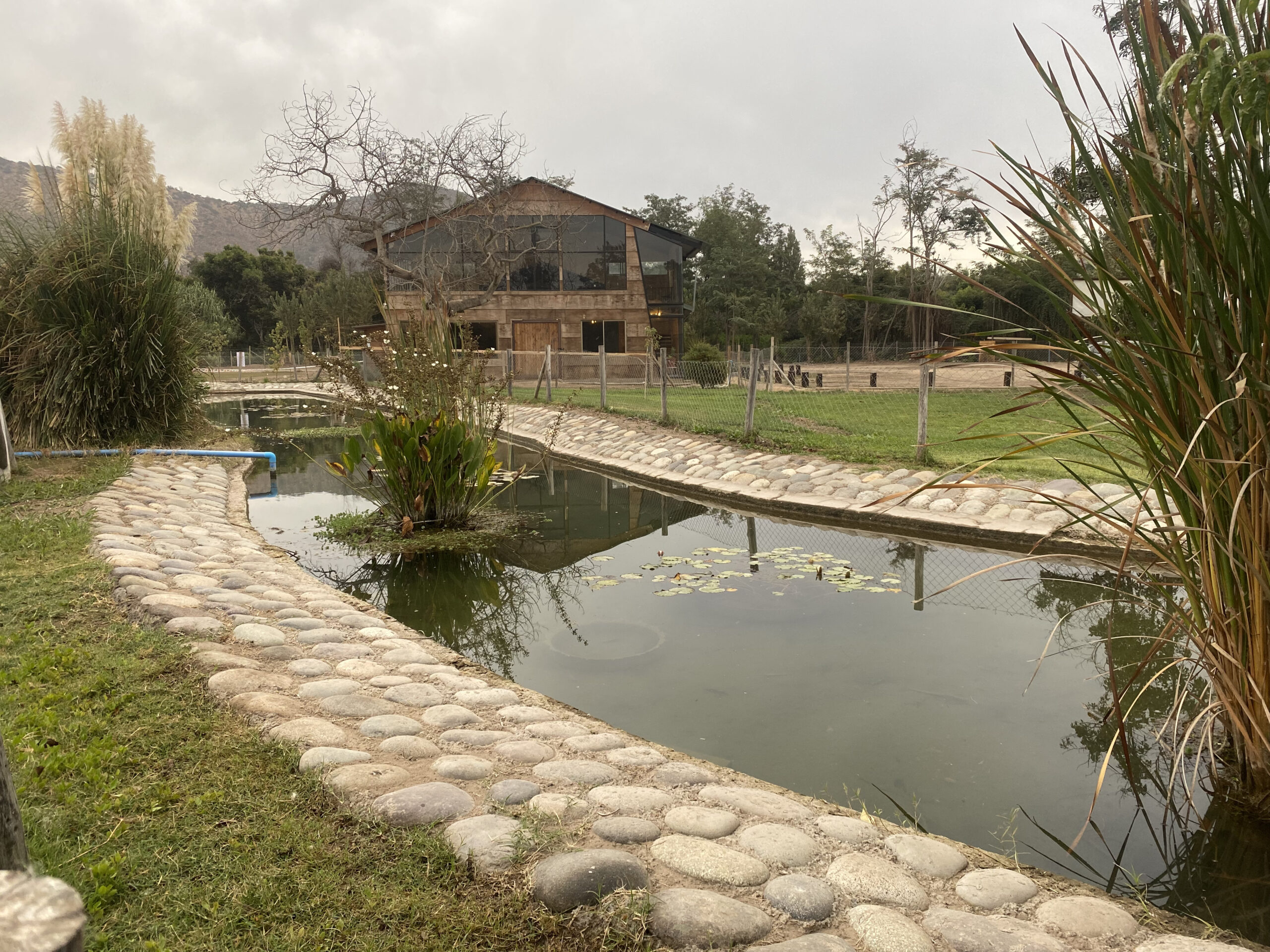Laguna y áreas verdes del campus Schulhaus