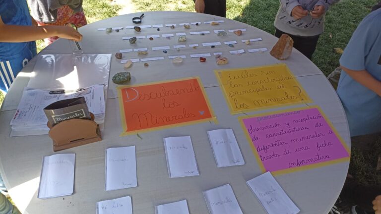 WhatsApp Image 2024-12-16 at 15.52.16 (1)