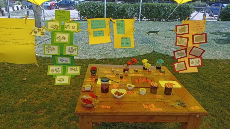 WhatsApp Image 2024-12-16 at 15.52.16